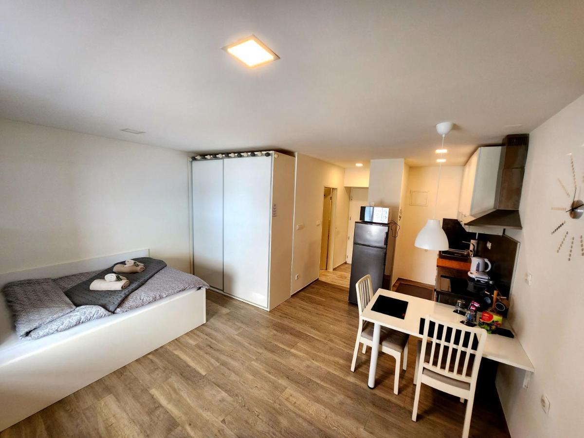 Studio Apartma V8 ماريبور المظهر الخارجي الصورة